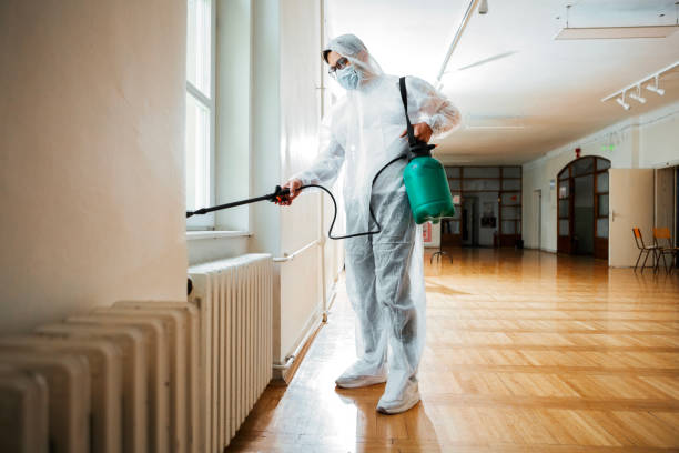 Best Insect Control  in Bear Rocks, PA