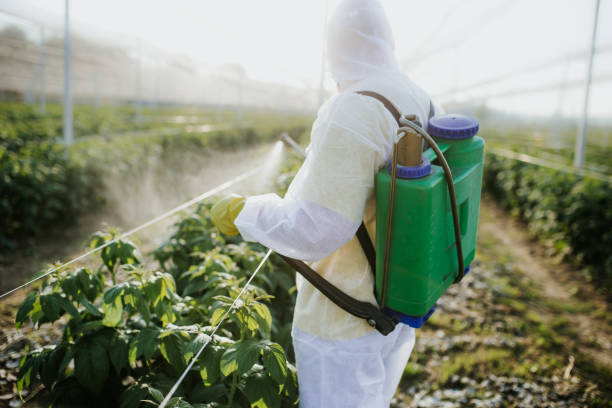 Best Pest Removal Services  in Bear Rocks, PA